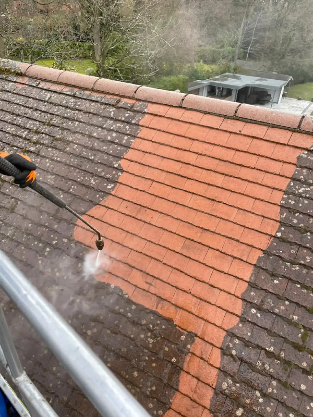 How to Remove Moss and Algae on Roofs