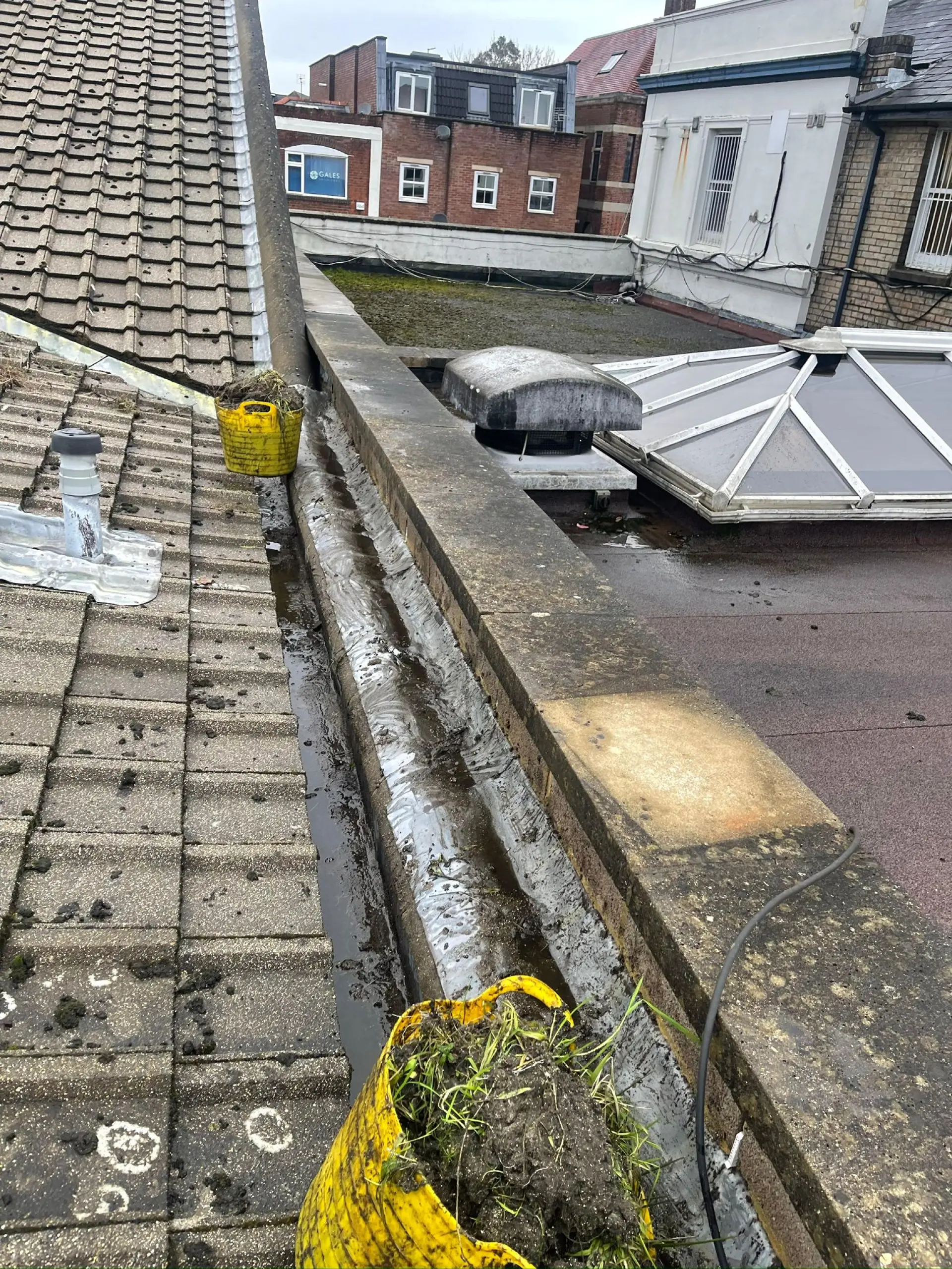 Roof & Gutter Cleaning Hampshire, Berkshire, Surrey